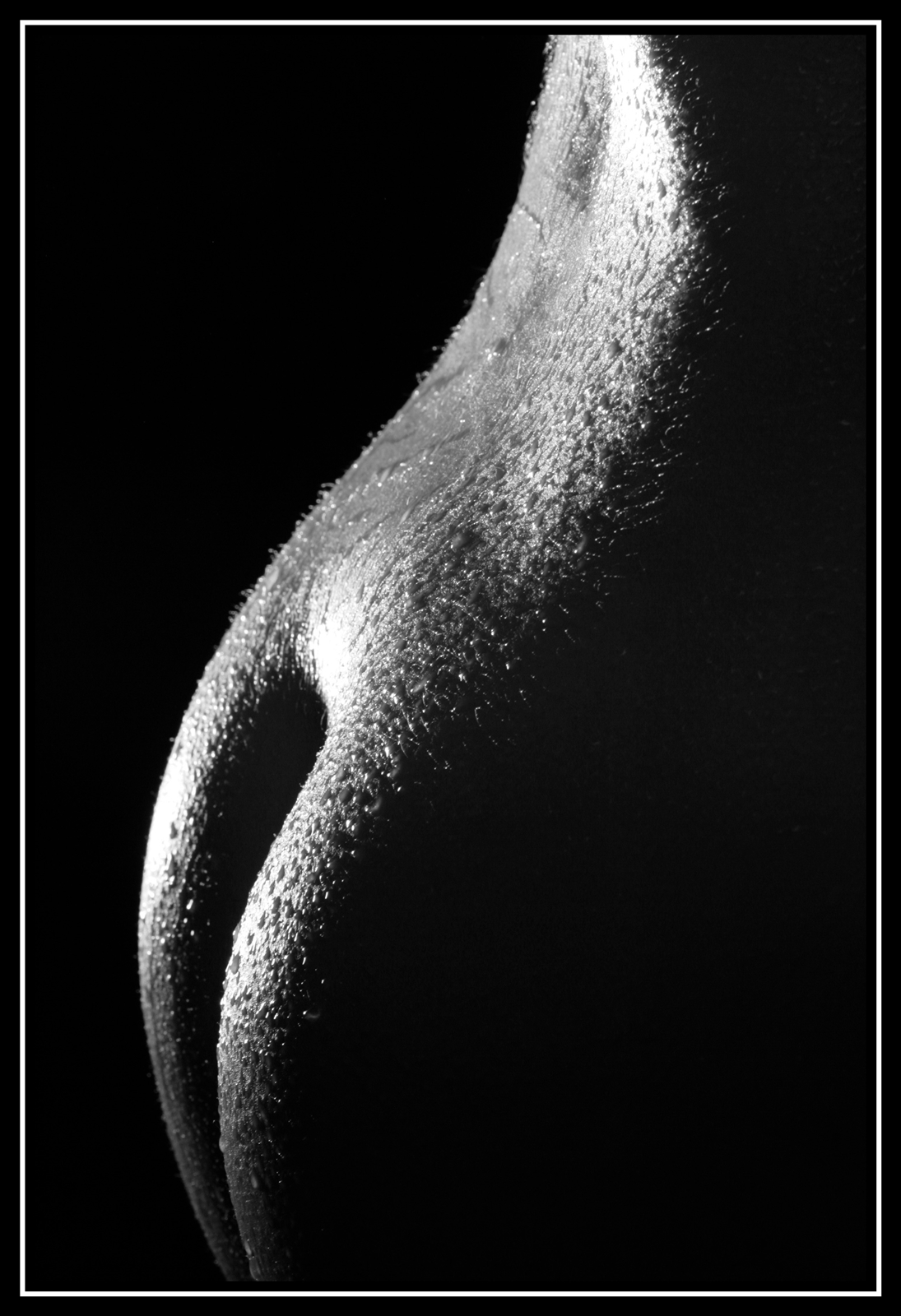 Bb   03   111web